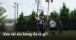 Kèo tài xỉu trong bóng đá, hay còn gọi là kèo Over/Under (O/U) - kèo tài xỉu bóng đá là gì